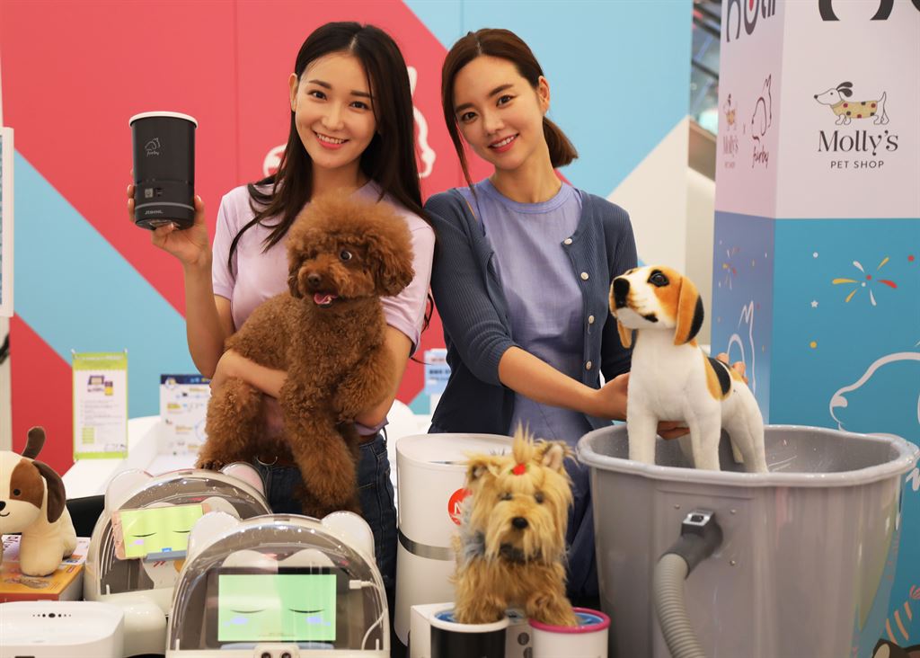 직접 써보고 구매하세요..몰리스펫샵, 펫가전 체험 매장 오픈 한국정경신문
